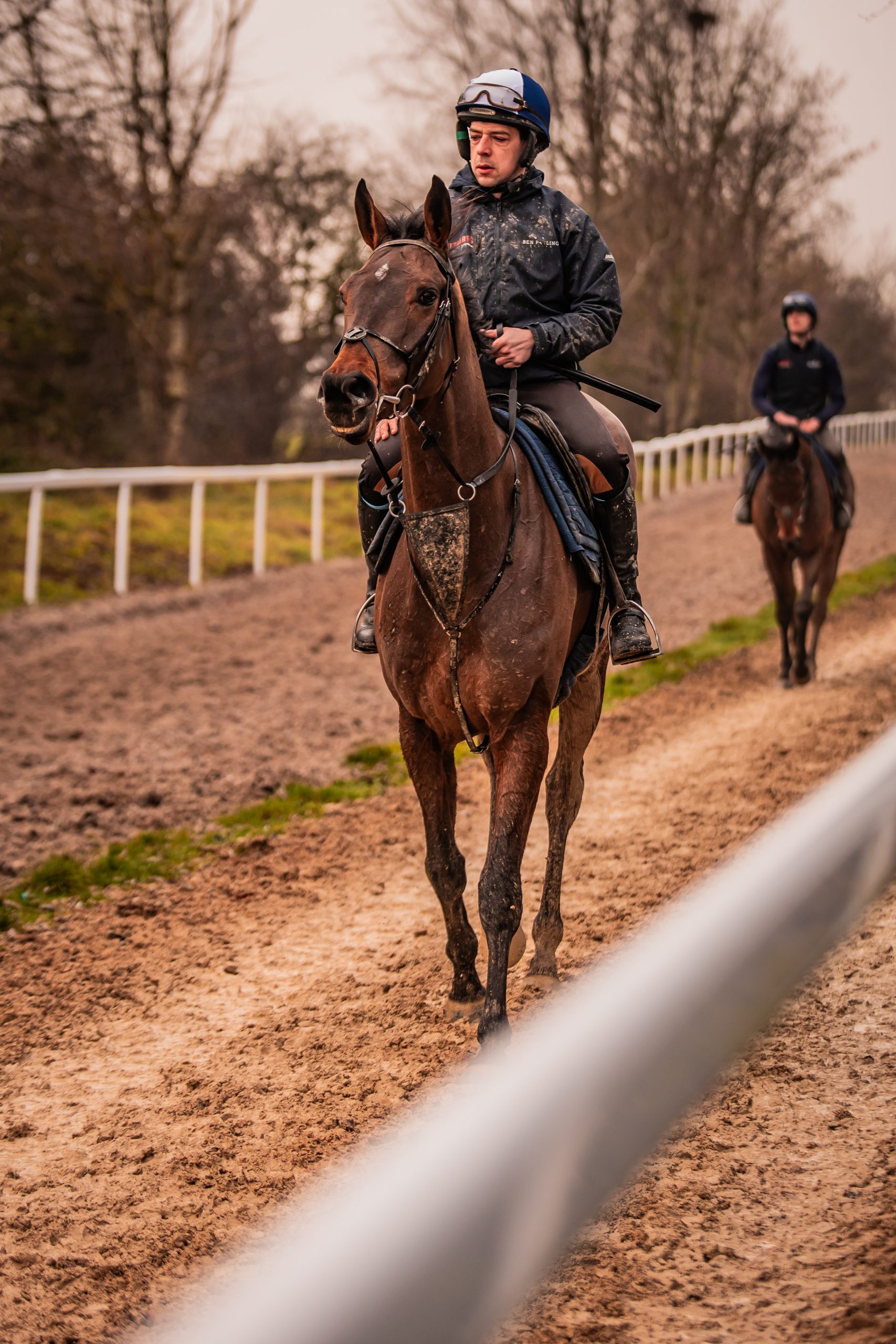 Basher Watts Racing owners, horses and race days — photo 22 of 40