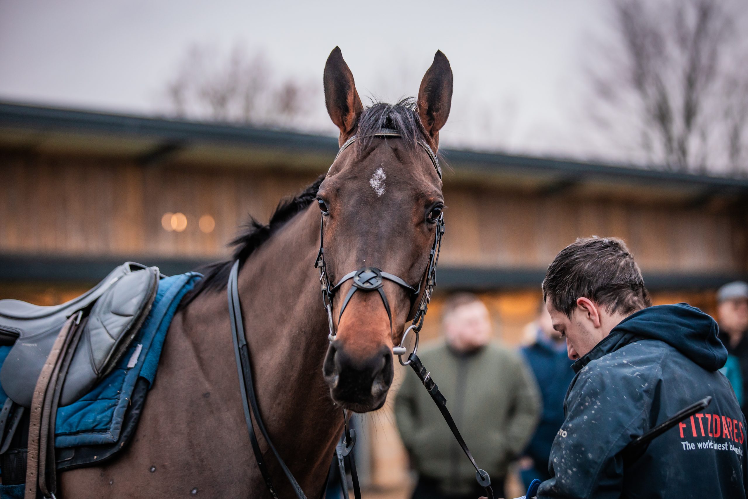 Basher Watts Racing owners, horses and race days — photo 13 of 40